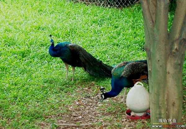 ��5.1���й��