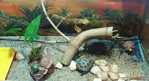 ��5.1���й��