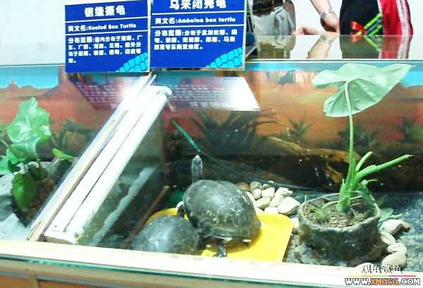 ��5.1���й��