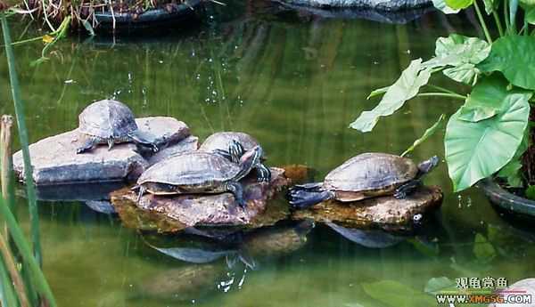 ��5.1���й��