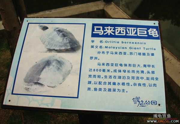 ��5.1���й��