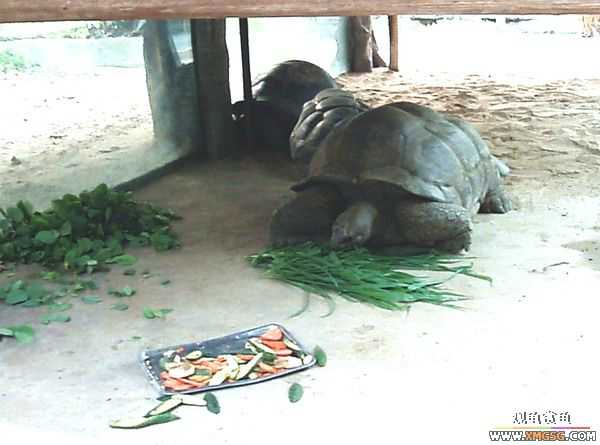 ��5.1���й��