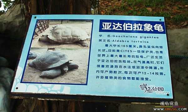 ��5.1���й��