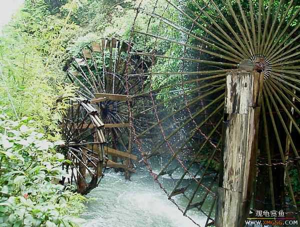 ��5.1���й��