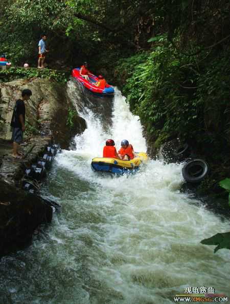 ��5.1���й��