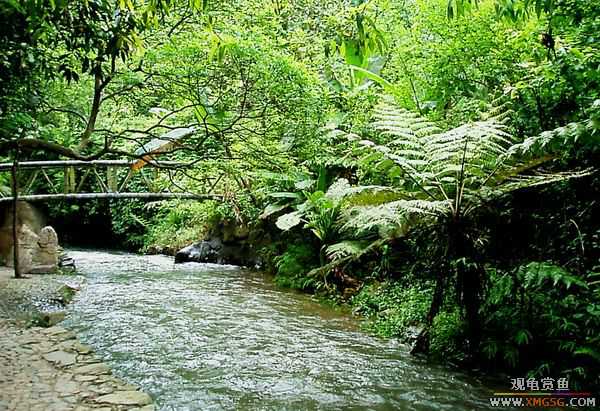 ��5.1���й��