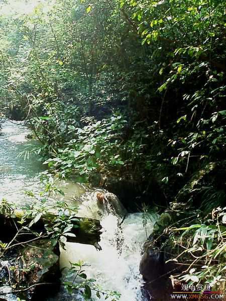 ��5.1���й��