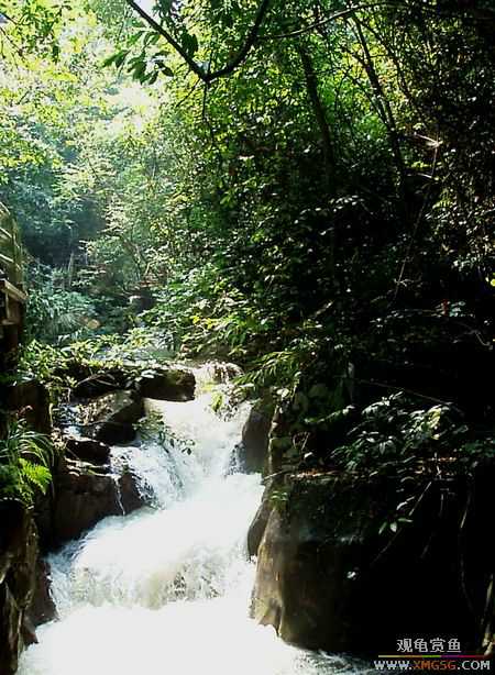 ��5.1���й��