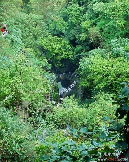 ��5.1���й��