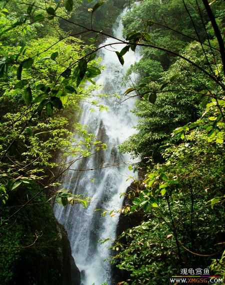 ��5.1���й��