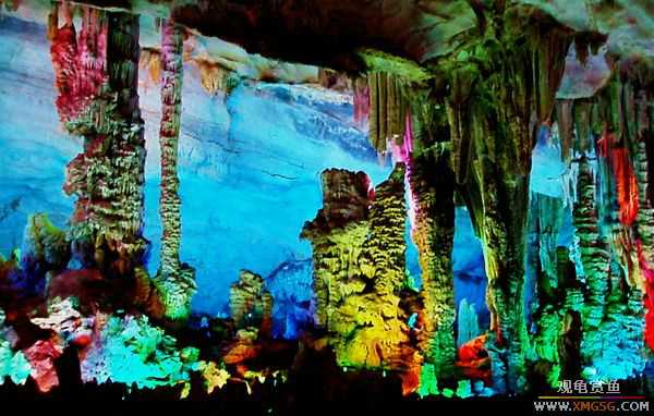 ��5.1���й��