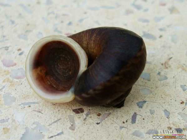 ��5.1���й��