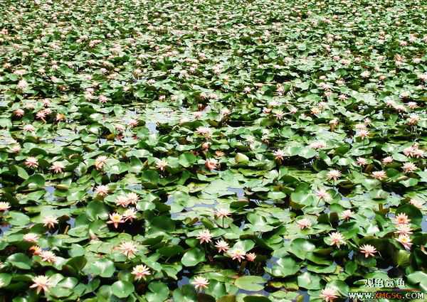 ��5.1���й��