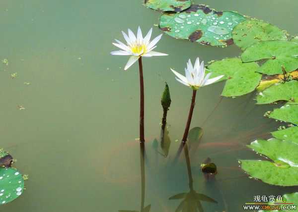 ��5.1���й��