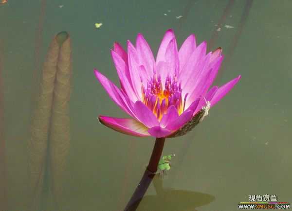 ��5.1���й��