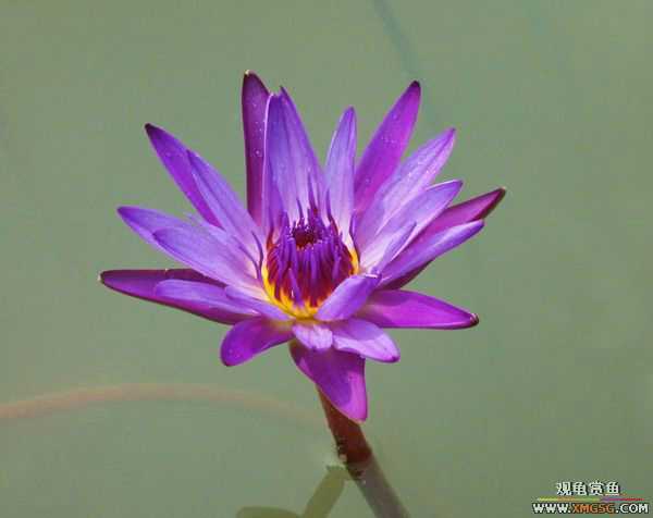 ��5.1���й��