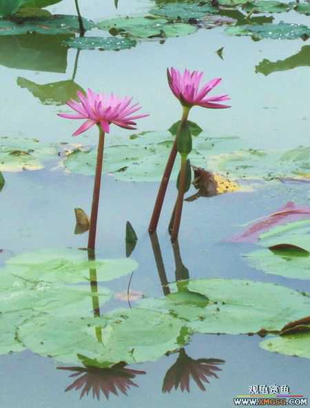 ��5.1���й��