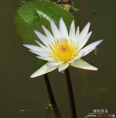 ��5.1���й��