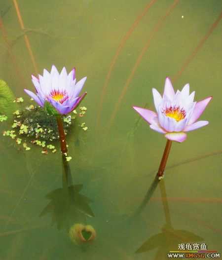 ��5.1���й��