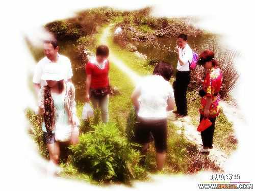 [ԭ��]������ɽ����ɭ�ֹ�԰�μ�1