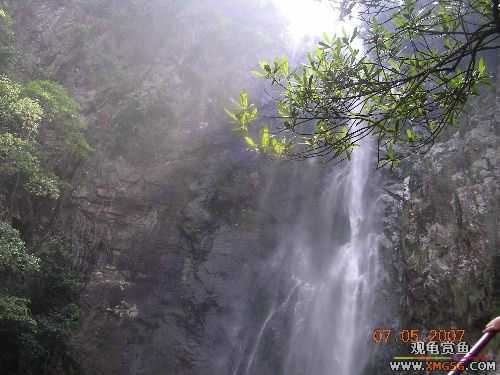 ������ɽ����ɭ�ֹ�԰�μ�2