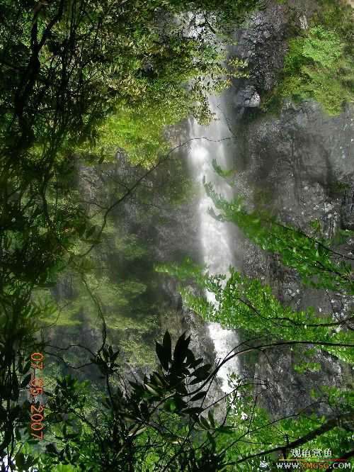 ������ɽ����ɭ�ֹ�԰�μ�2