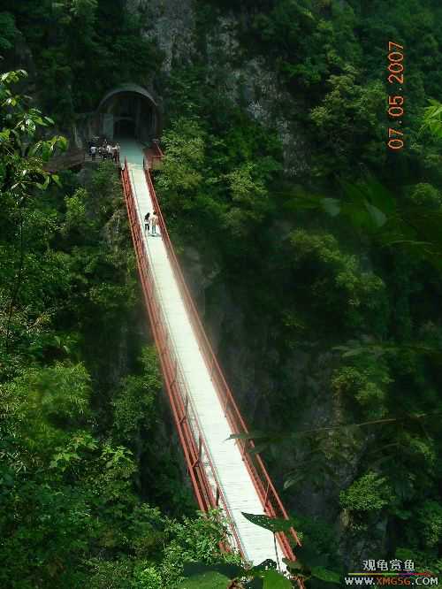 ������ɽ����ɭ�ֹ�԰�μ�2