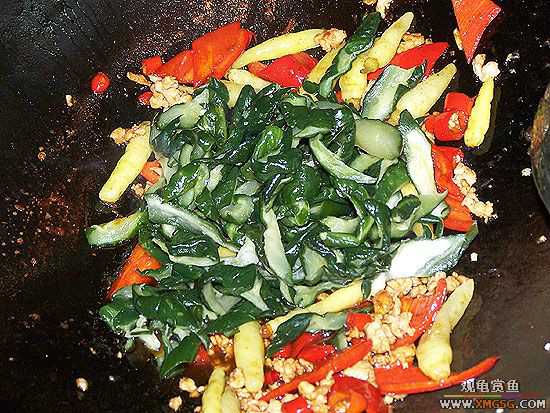 [ת��][�Ƽ�]˽�ҳ����������ְ��ֽ������ˣ����ϸ��£�