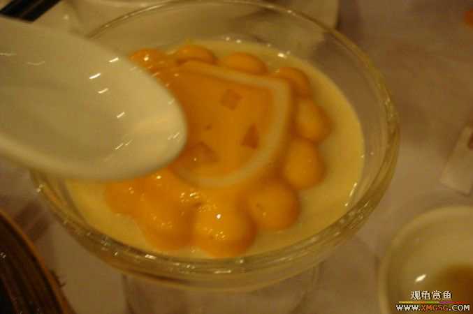 [ԭ��]��ҹ��������ҹ