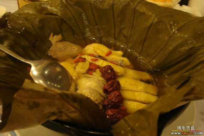 [ԭ��]��ҹ��������ҹ