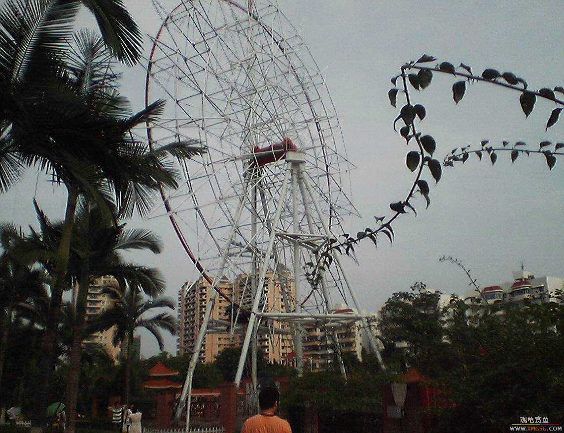 ���ӵ���һ����ͯ�ڡ�