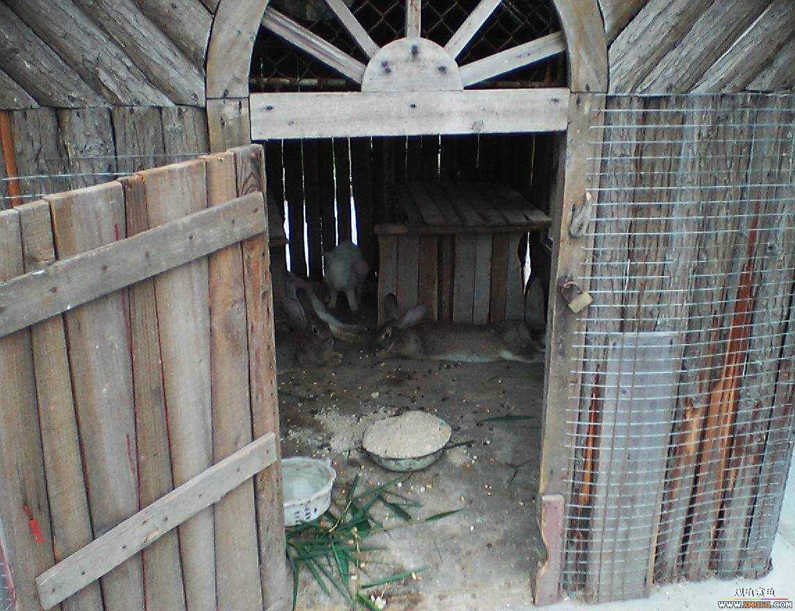 ���ӵ���һ����ͯ�ڡ�