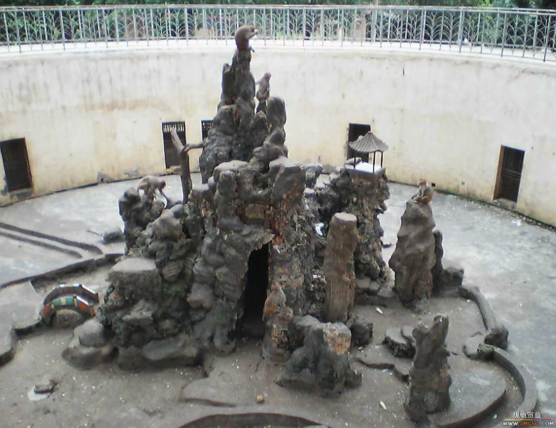 ���ӵ���һ����ͯ�ڡ�