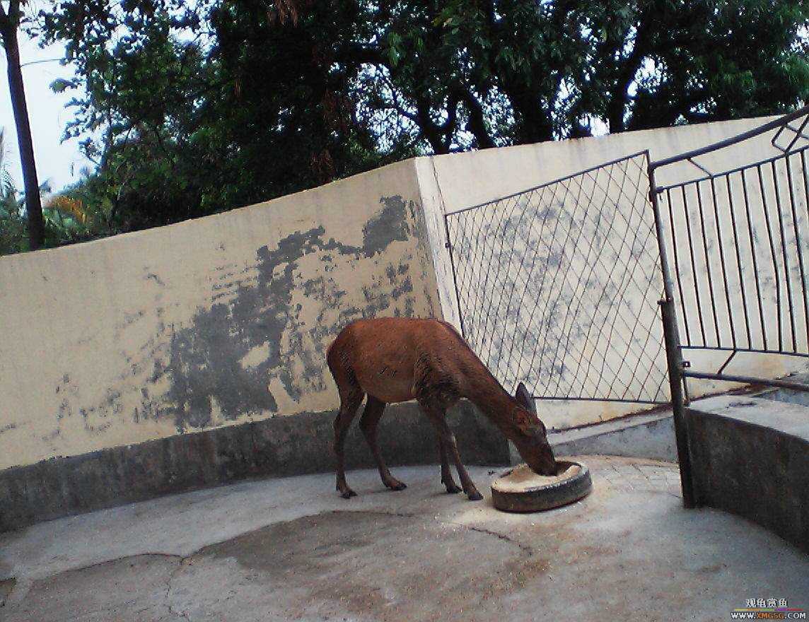 ���ӵ���һ����ͯ�ڡ�