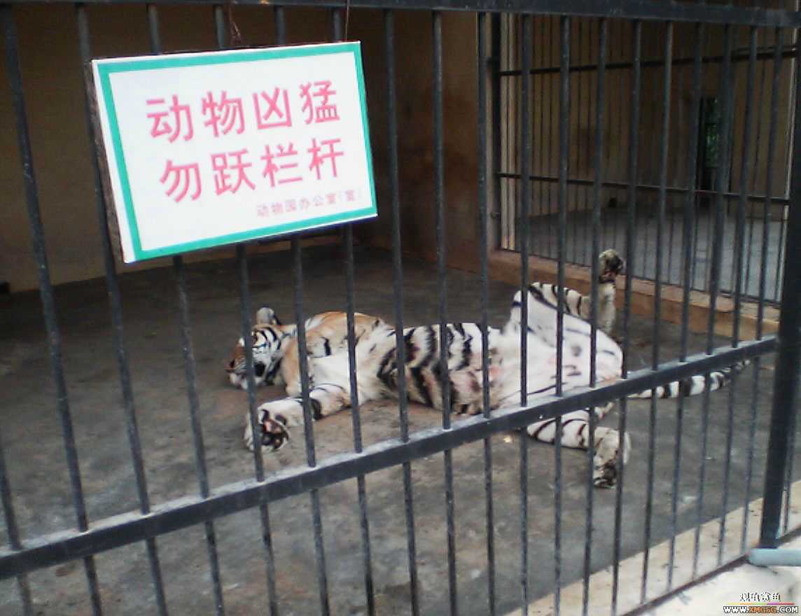 ���ӵ���һ����ͯ�ڡ�