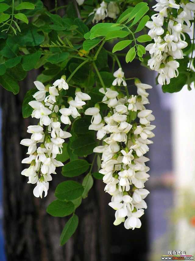 [ԭ��]�ּ���������