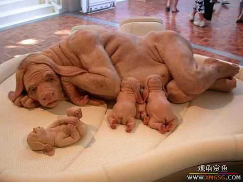 [��ͼ]���ض���˹�����ˡ���������Ŀ