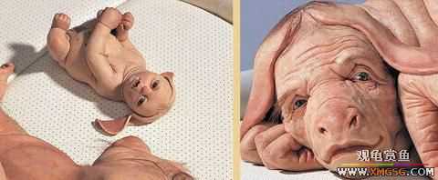 [��ͼ]���ض���˹�����ˡ���������Ŀ