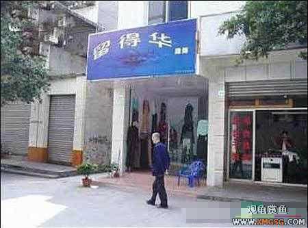 [ת��]����Ц���й���BT����