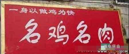 [ת��]����Ц���й���BT����