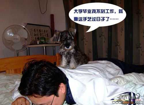 [��ͼ]��Ħ���ĵ��������