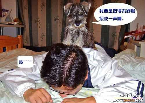 [��ͼ]��Ħ���ĵ��������