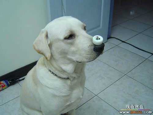 [��ͼ]�����º�ġ��ͷ���