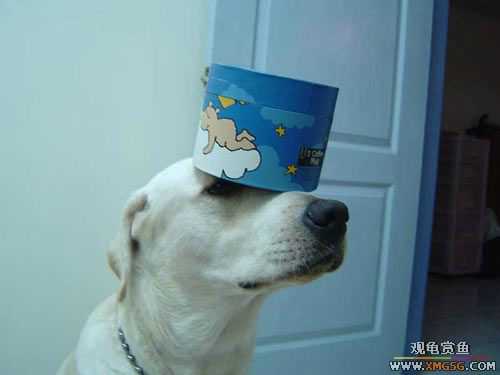 [��ͼ]�����º�ġ��ͷ���