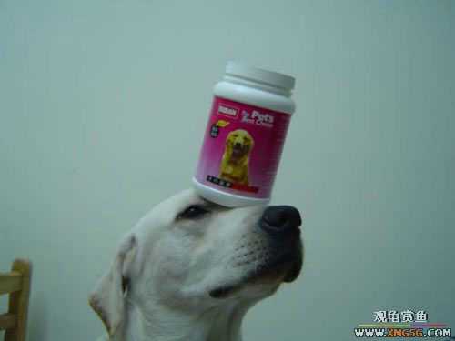 [��ͼ]�����º�ġ��ͷ���