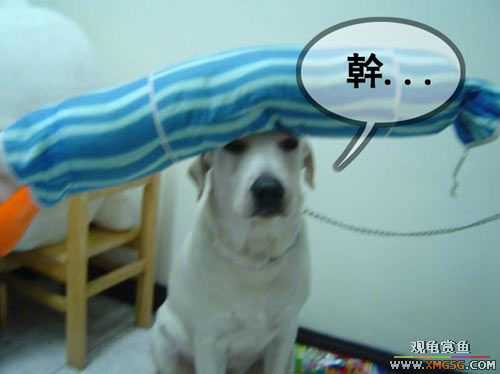 [��ͼ]�����º�ġ��ͷ���