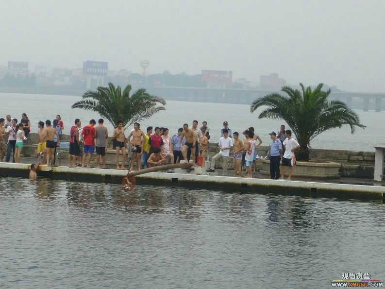 �����������ף�ץѼ�ӣ�