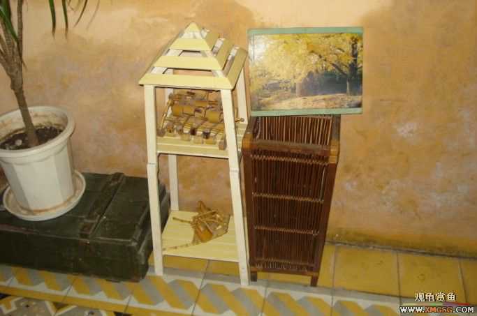 ����--����С�۵ĺõط�~����������������Ƭ��