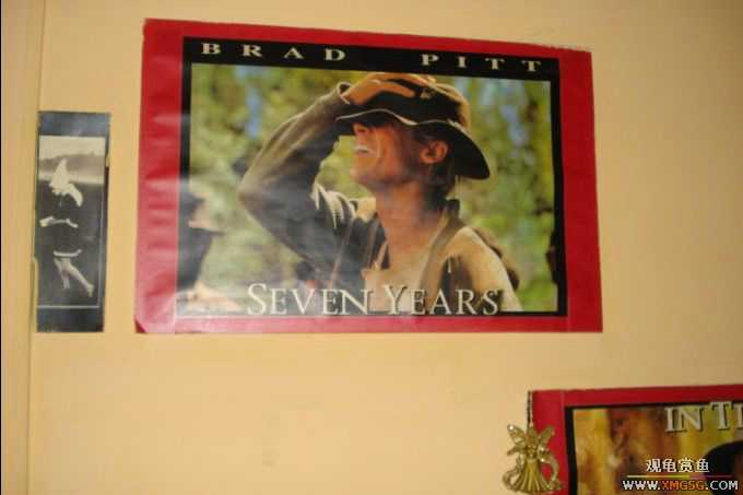 ����--����С�۵ĺõط�~����������������Ƭ��