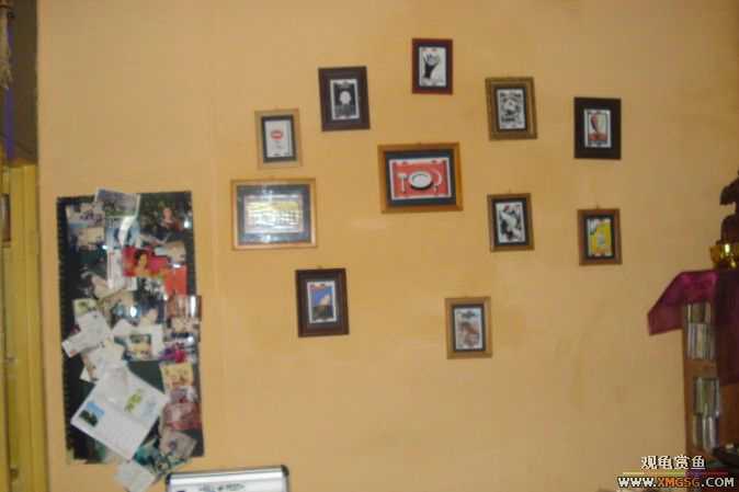 ����--����С�۵ĺõط�~����������������Ƭ��